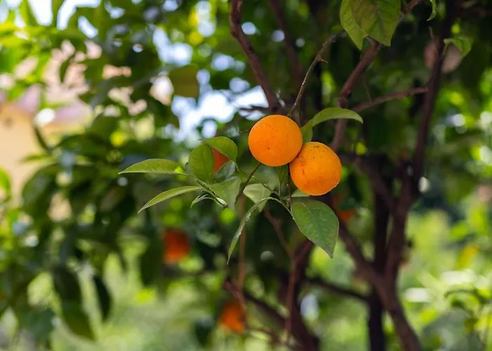 דירה Secret Garden - Big Garden Near Station & Centre *
